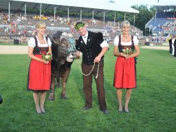 Kile mit Siegermuni